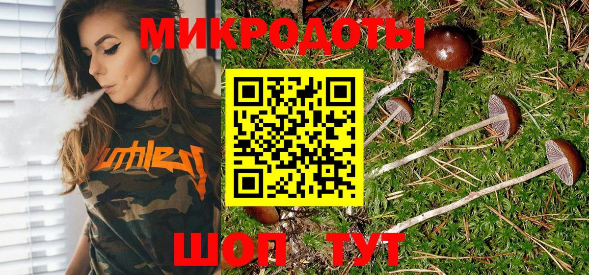 Галлюциногенные грибы Psilocybine cubensis  Вход с VPN  Псилоцибиновые грибы MAGIC MUSHROOMS  Долгопрудный 