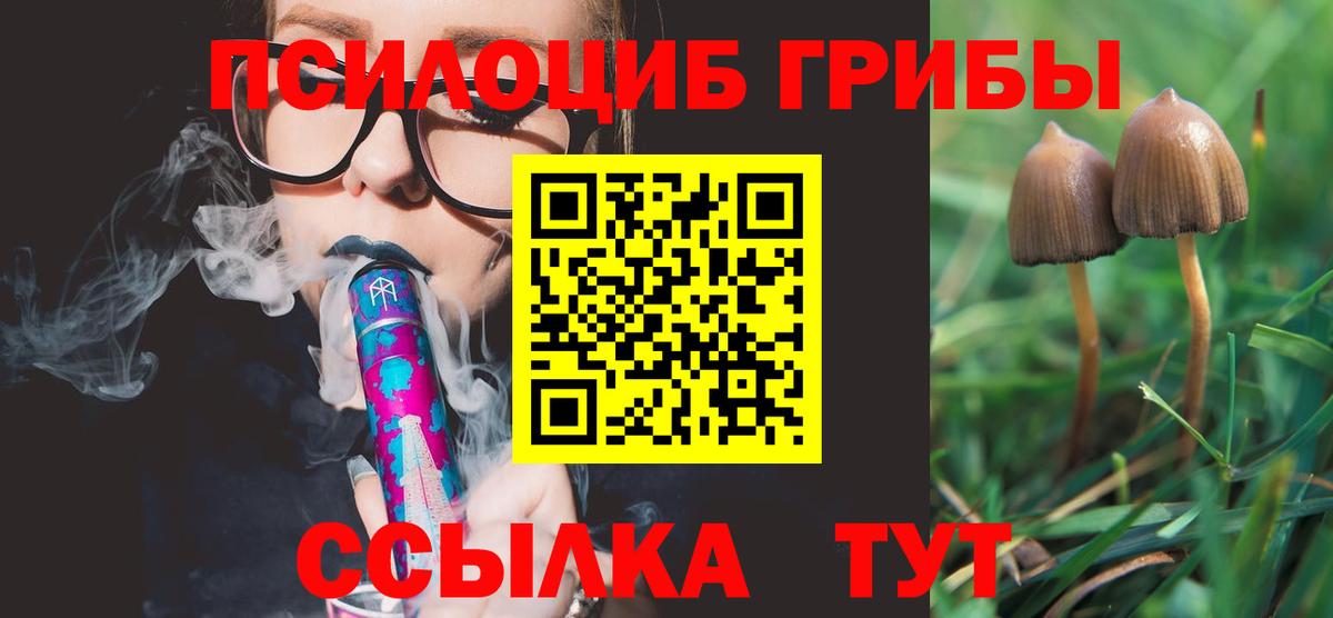 Псилоцибиновые грибы Psilocybe Долгопрудный
